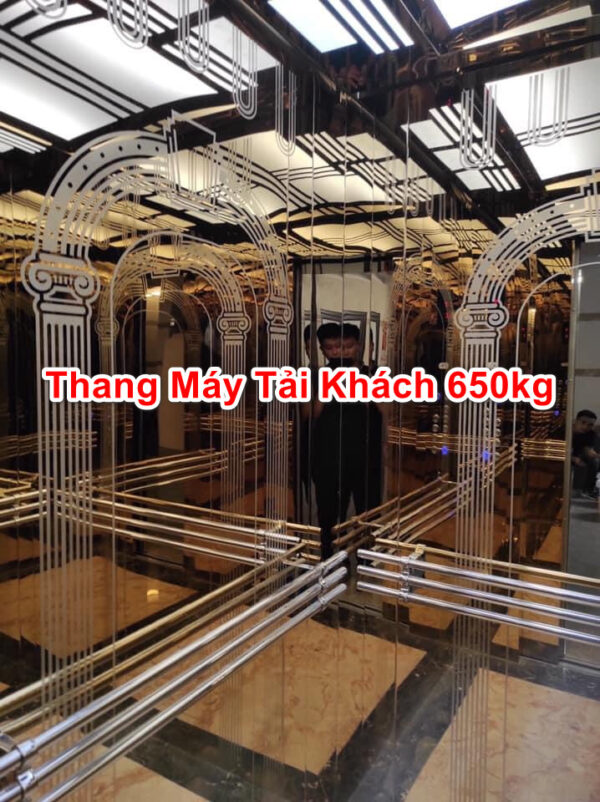 Thang Máy Tải Khách 650kg
